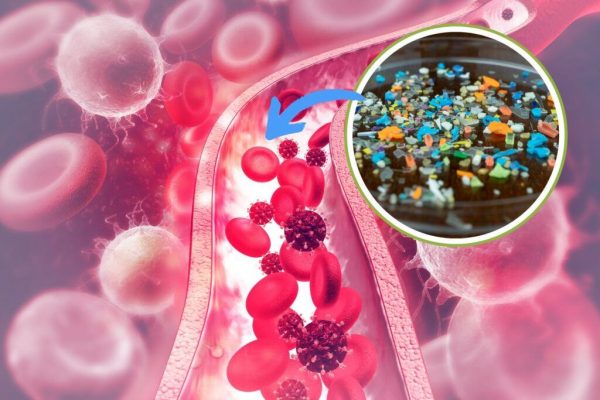 Microplasticele în sângele pacienților cu infarct: O amenințare tăcută pentru sănătatea cardiovasculară?