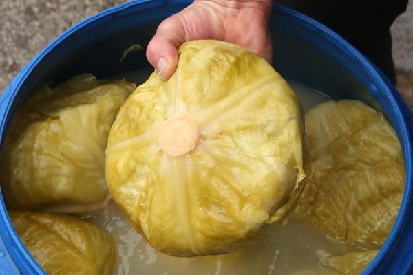 Ghid Complet pentru Fermentarea Verzei Murate: Importanța Sării și Reguli de Bază pentru O Preparare Reușită